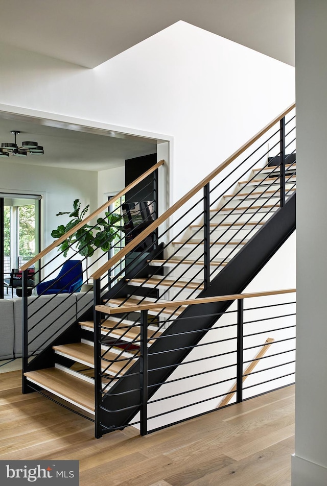 staircase with wood finished floors