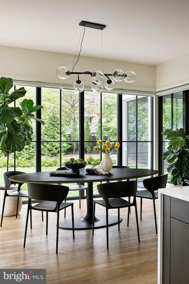 dining area with wood finished floors