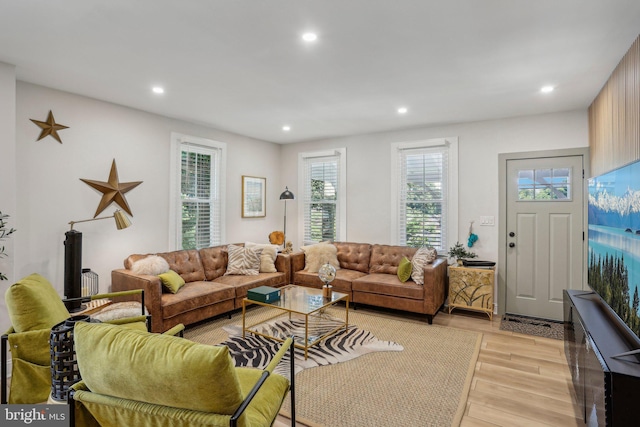 living room with light wood-type flooring