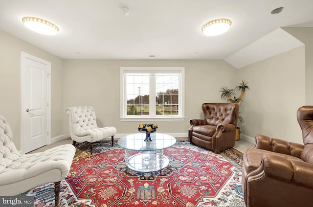 living room featuring lofted ceiling