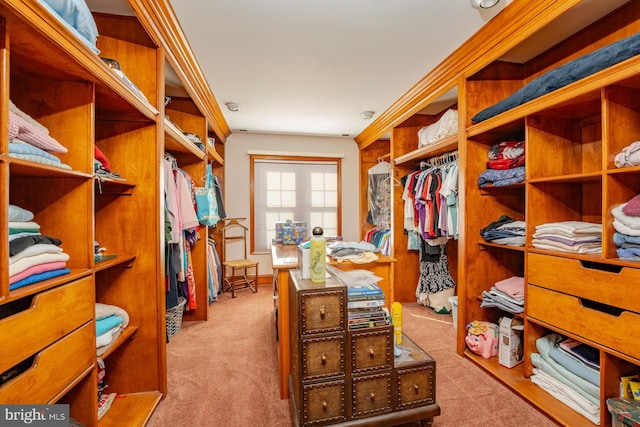 spacious closet with light carpet