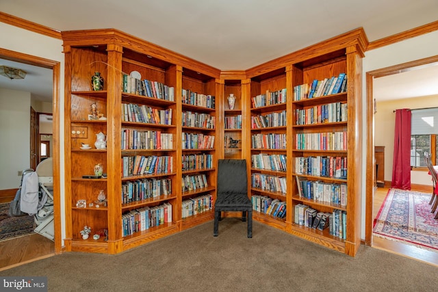 sitting room with crown molding and carpet floors