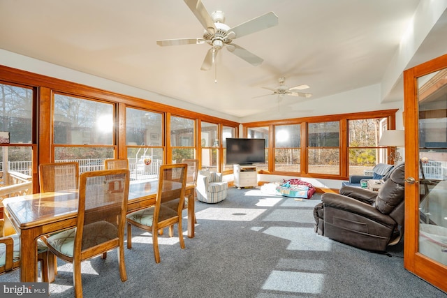 sunroom with lofted ceiling