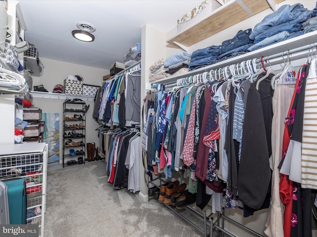 spacious closet with carpet flooring