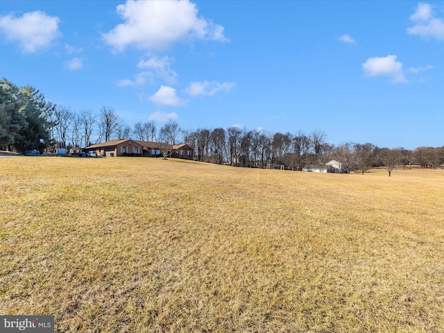 view of yard with a rural view