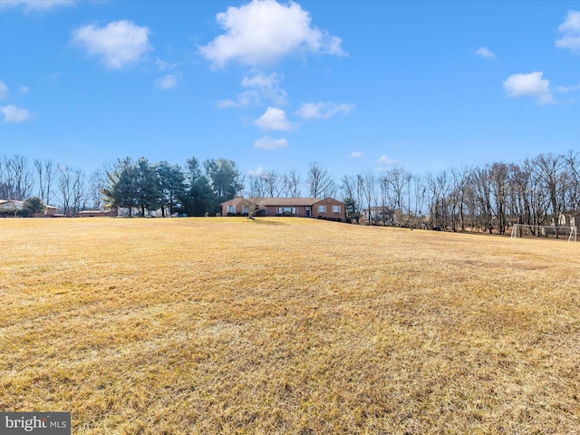 view of yard with a rural view