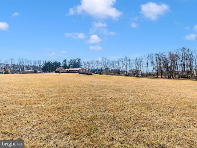 view of yard with a rural view