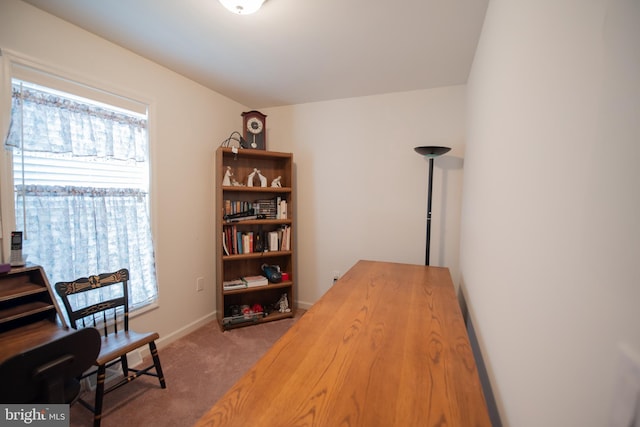 carpeted office space with baseboards