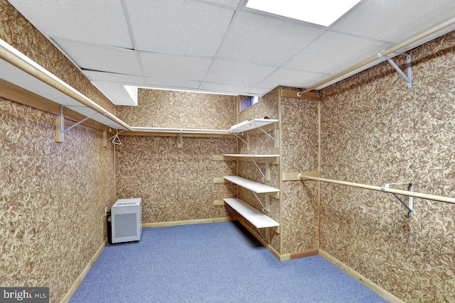 walk in closet with carpet floors and a drop ceiling