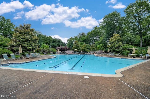 view of swimming pool with a patio