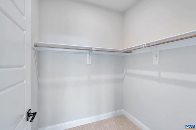 walk in closet featuring carpet