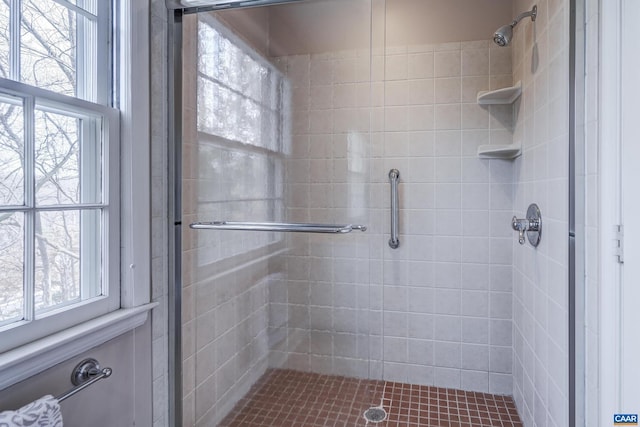 bathroom featuring a shower with door and plenty of natural light