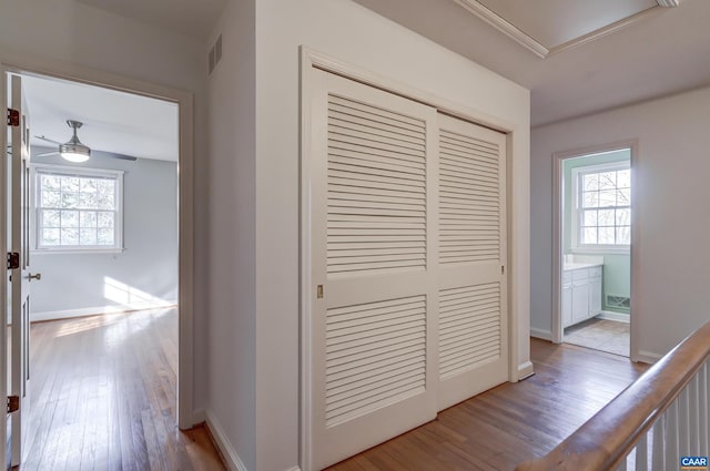 hallway with plenty of natural light and light hardwood / wood-style floors