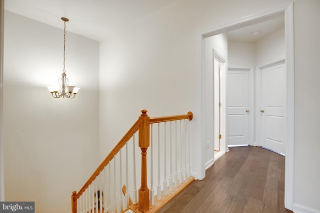 hall featuring a notable chandelier and dark hardwood / wood-style flooring