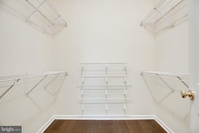 spacious closet with hardwood / wood-style floors