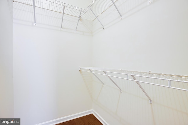 walk in closet featuring hardwood / wood-style floors