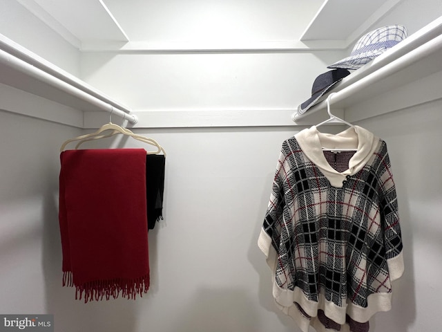 view of walk in closet