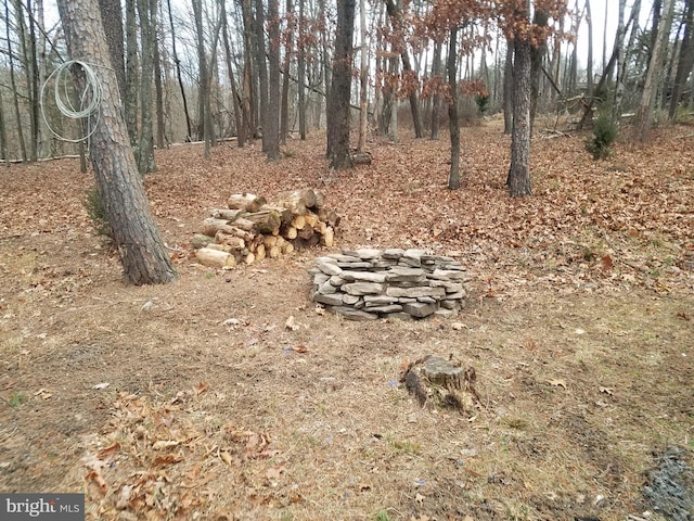 view of yard with a fire pit