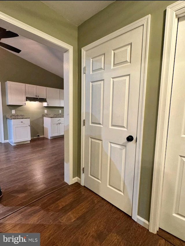 corridor with lofted ceiling and dark wood-type flooring