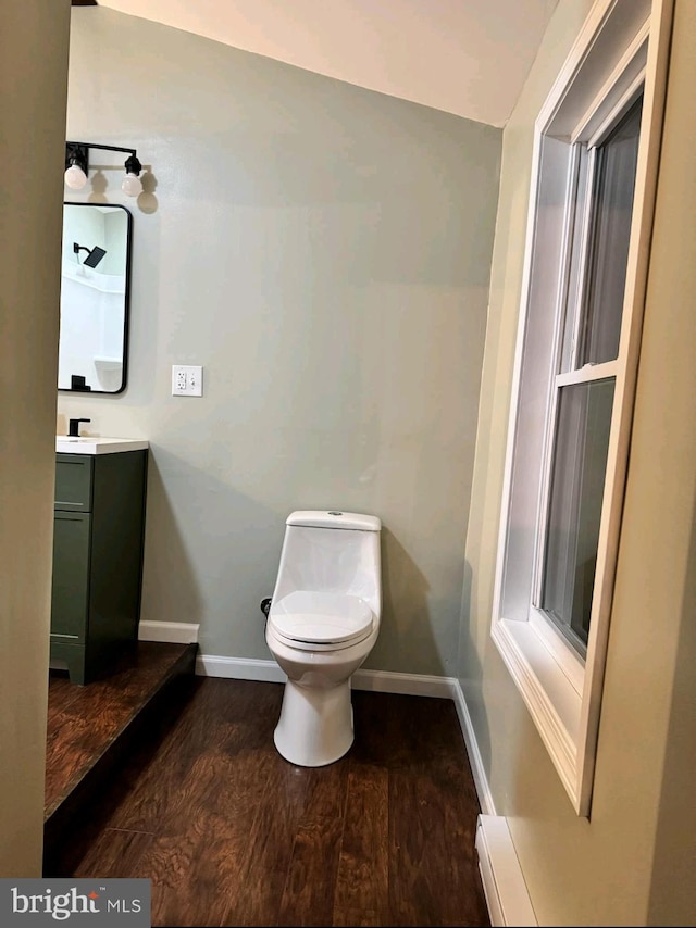 bathroom featuring vanity, toilet, and wood-type flooring