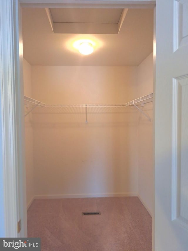 spacious closet with carpet