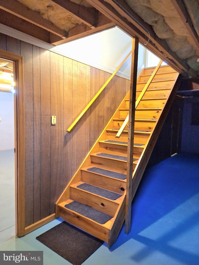 staircase with wooden walls and concrete flooring