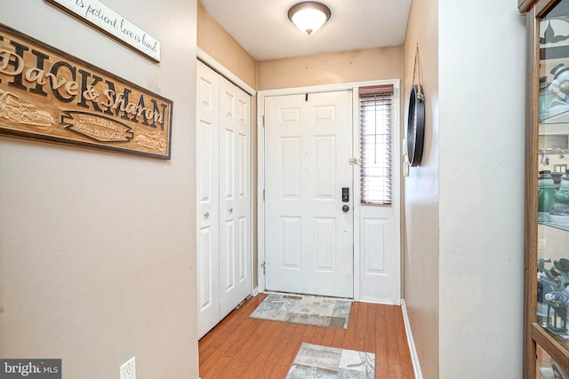 entryway featuring hardwood / wood-style flooring