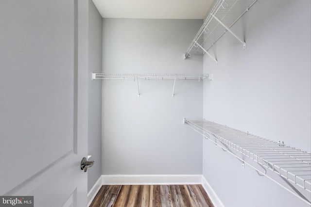 spacious closet with dark wood-type flooring