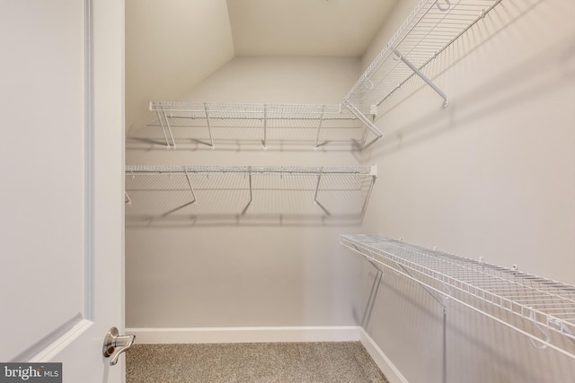 walk in closet with carpet flooring