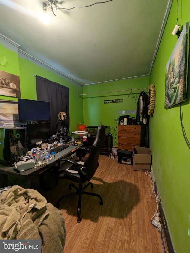 office featuring crown molding and light hardwood / wood-style flooring