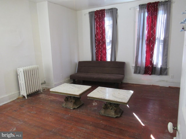 living area with wood-type flooring, a healthy amount of sunlight, and radiator heating unit