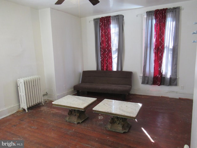 sitting room with ceiling fan, radiator, and dark hardwood / wood-style floors