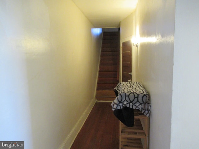 corridor featuring dark hardwood / wood-style floors