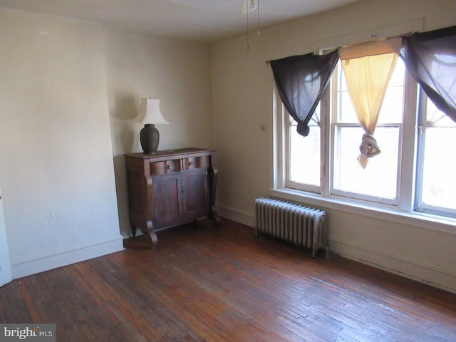 interior space with dark hardwood / wood-style floors and radiator