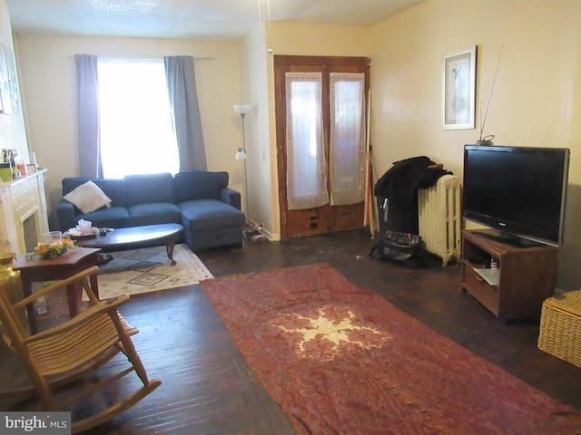 living room with dark wood-type flooring and radiator heating unit