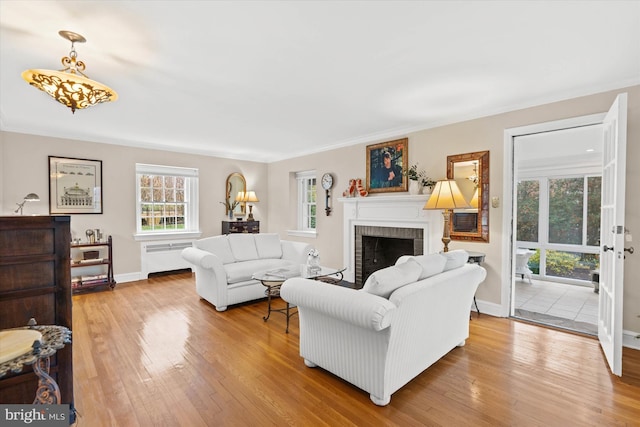 living room featuring wood-type flooring, ornamental molding, radiator, and a fireplace