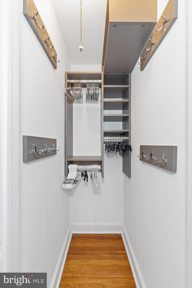 spacious closet with hardwood / wood-style flooring