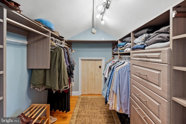 walk in closet with lofted ceiling and wood finished floors