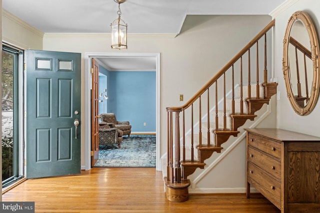 foyer featuring crown molding and wood-type flooring