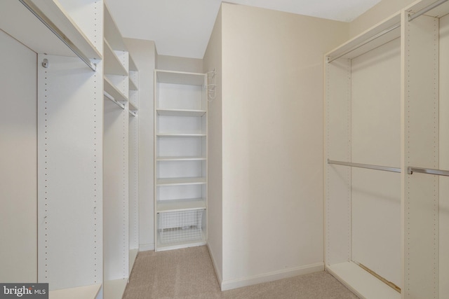 walk in closet featuring carpet floors