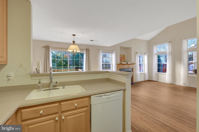 kitchen with white dishwasher, a sink, light countertops, hanging light fixtures, and plenty of natural light