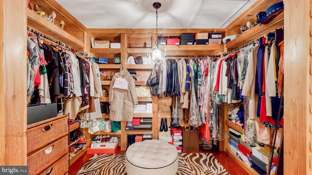 spacious closet featuring wood finished floors