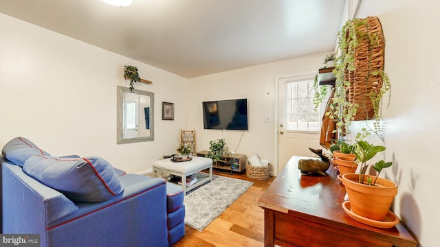 living area featuring wood finished floors