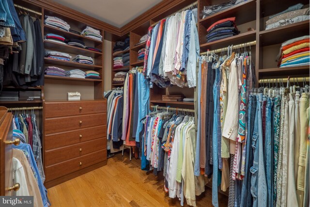 walk in closet featuring wood finished floors