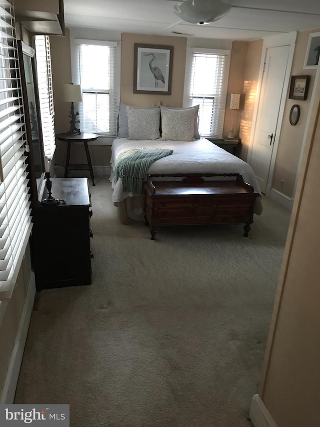 view of carpeted bedroom