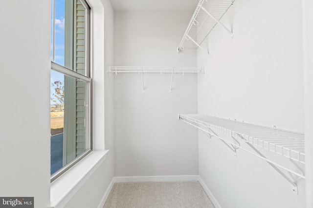 walk in closet with carpet