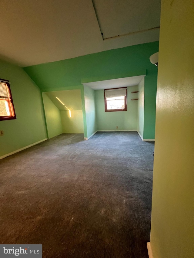 additional living space with carpet and lofted ceiling