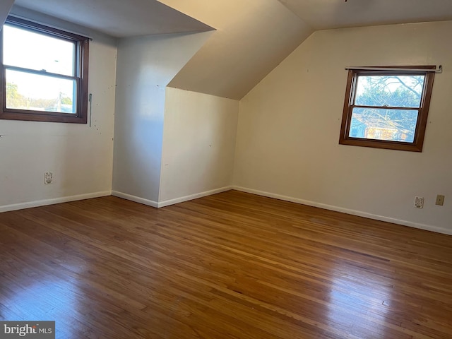 additional living space with a wealth of natural light, dark hardwood / wood-style floors, and vaulted ceiling