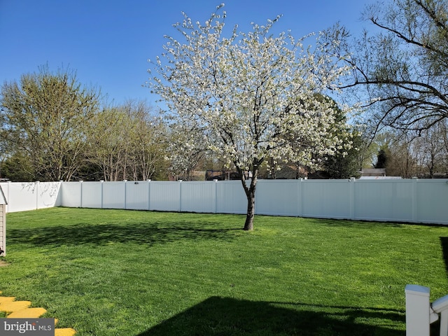 view of yard featuring a fenced backyard