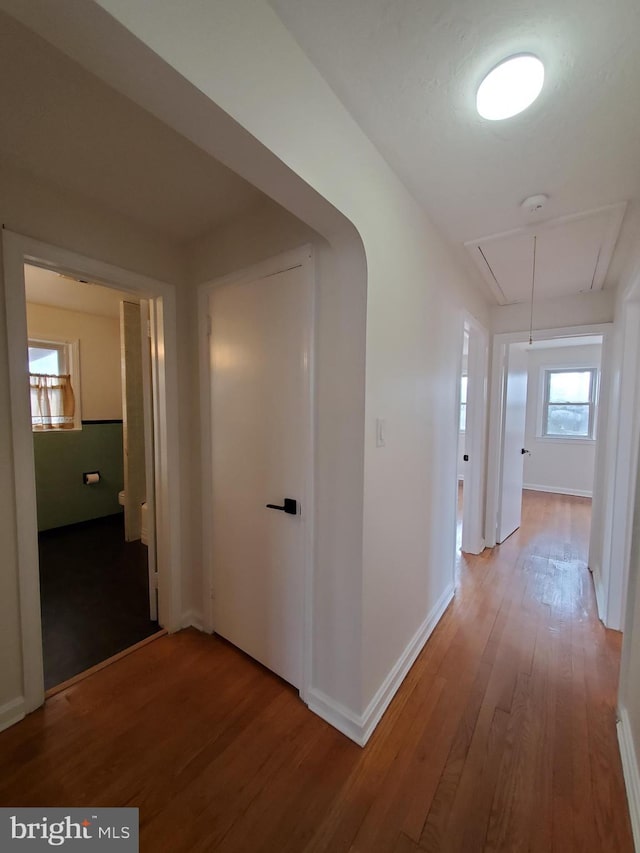 corridor featuring hardwood / wood-style floors